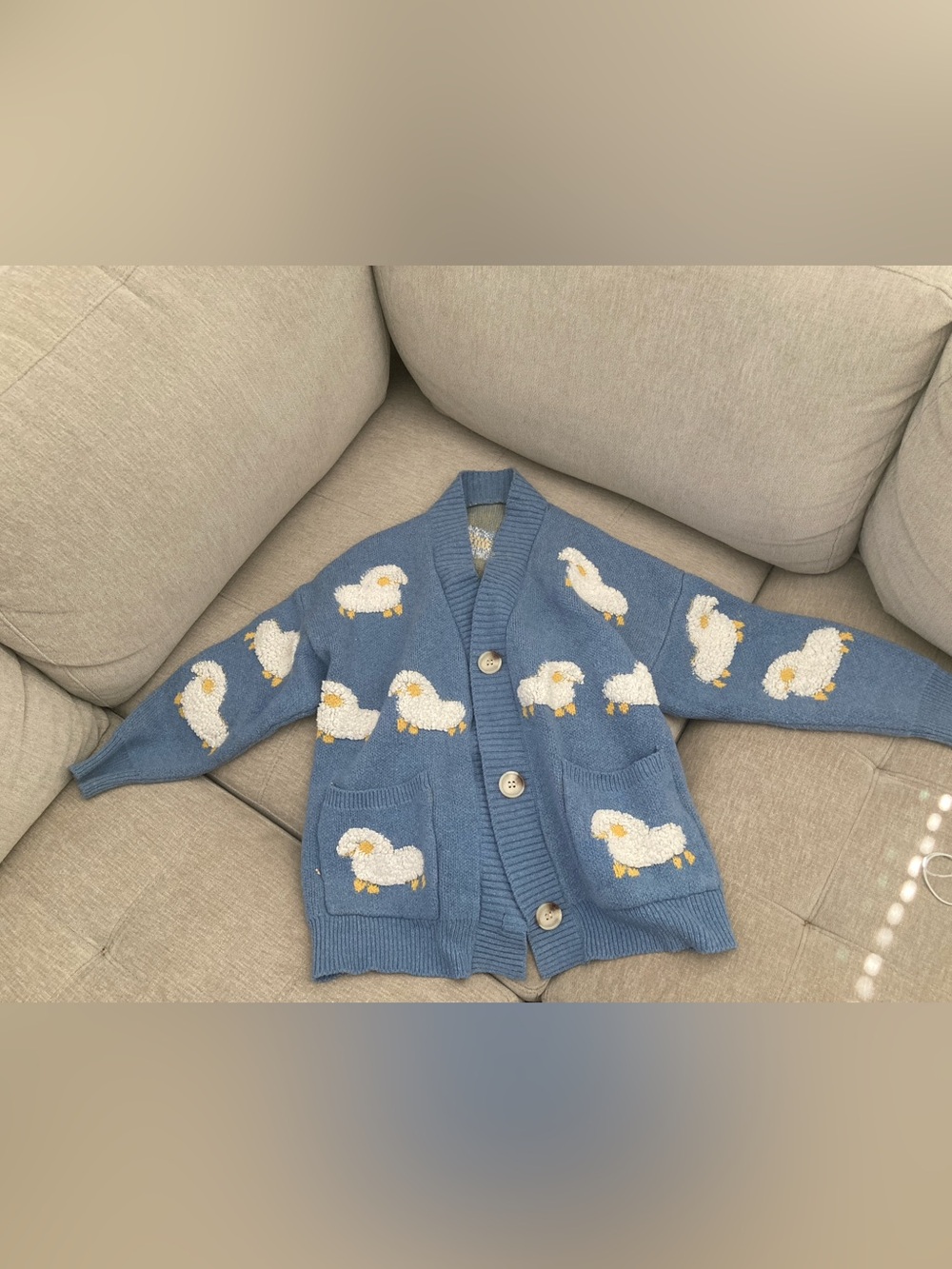 Button up sweater